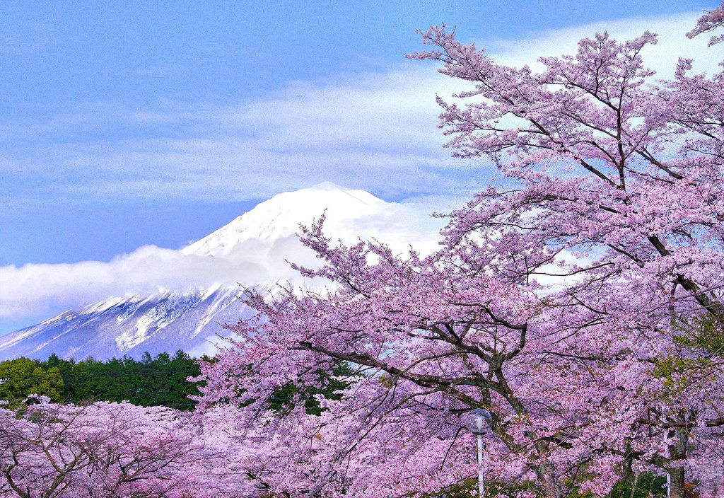 Flickr photo of Mt Fuji by Hide99